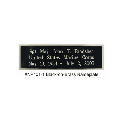 Air Force Landscape Picture Frame with a medallion - Flags Connections
