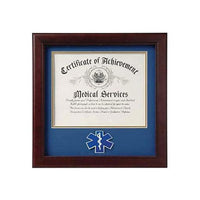 Air Force Medallion, Memorial Certificate Frame 