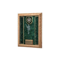 Awards Display Case, Military Awards shadow Box Awards Display Case, Military Awards shadow Box