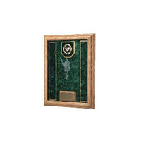 Awards Display shadowbox, Military Award Frame 