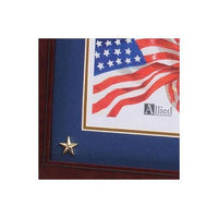 U.S. Air Force Medallion Picture Frame with Star U.S. Air Force Medallion Picture Frame with Star