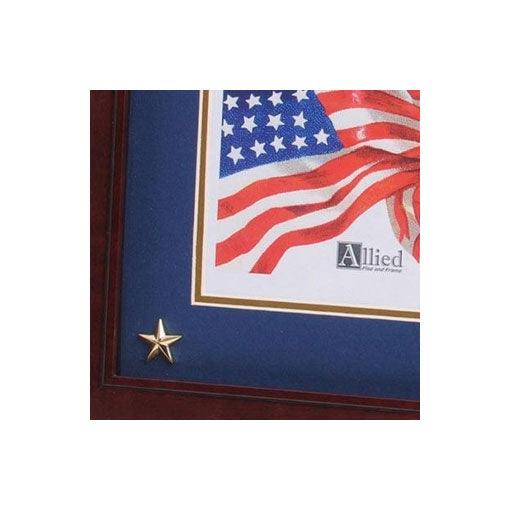 U.S. Air Force Medallion Picture Frame with Star - Flags Connections